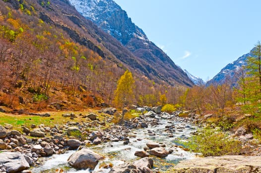 Mountain Stream in the Italian Alps, Piedmont