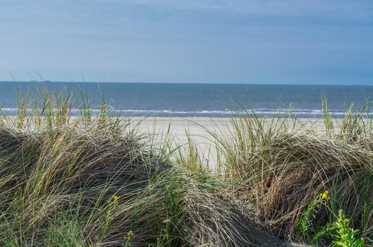 Landscape with beach overlooking the sea, sand dunes and grass, Ouddorp, North Sea, Holland.