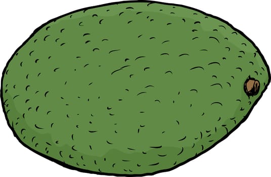 Hand drawn single avocado fruit illustration over white