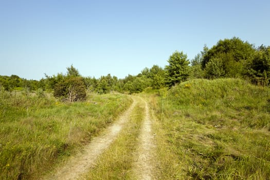   Dirt road disappearing countryside with a track.