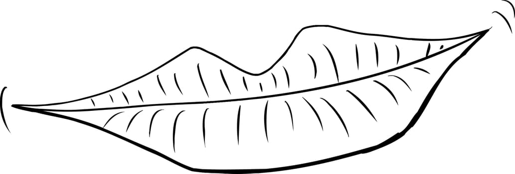 Outlined pair of grinning human lips over white background