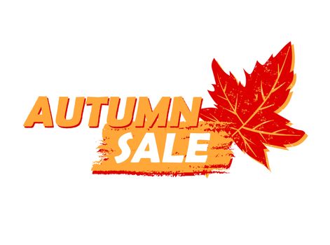 autumn sale banner - text in yellow and orange drawn label with leaf sign, business seasonal shopping concept