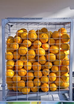 Sunlit oranges fruits  placed in a cage in market