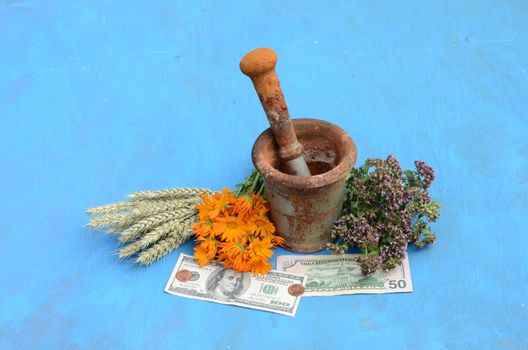 Still life with herbs, dollars and mortar with pestle on blue background