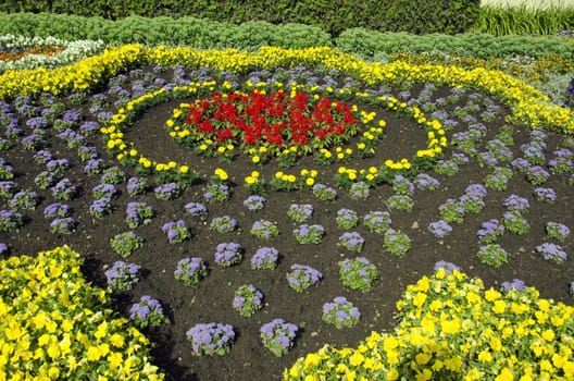Freshly planted ornamental flowerbed in city park