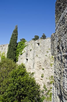 Medieval Rhodes city  wall in Greece with trees growing