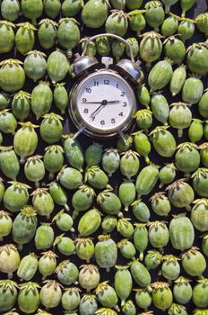 An alarm clock with opium poppy seedheads concept
