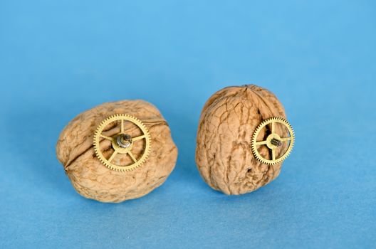 Still life with two walnuts and clock gears on blue background