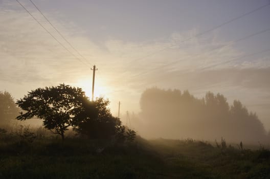 Sun rising through the fog on rural landscape with an electricity pole