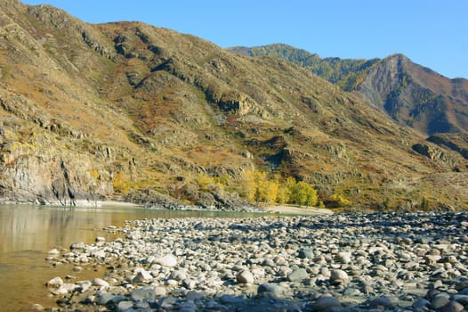 The Clean mountain river by autumn.Mountain Altai