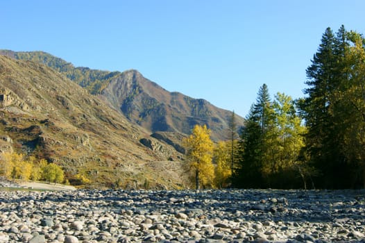 The Clean mountain river by autumn.Mountain Altai