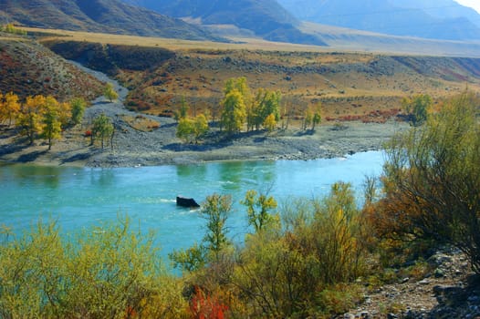 The Clean mountain river by autumn.Mountain Altai