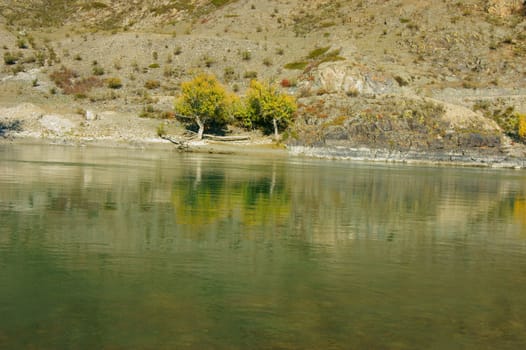 The Clean mountain river by autumn.Mountain Altai