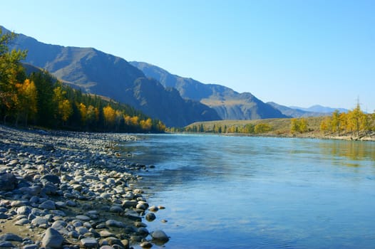 The Clean mountain river by autumn.Mountain Altai