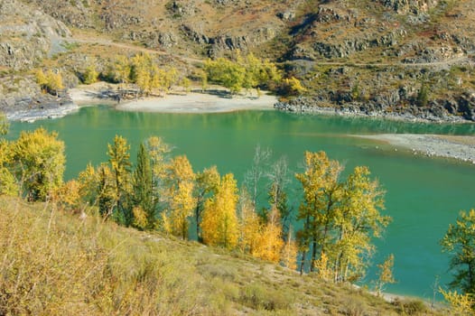 The Clean mountain river by autumn.Mountain Altai