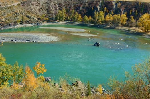 The Clean mountain river by autumn.Mountain Altai