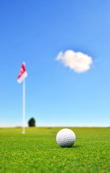 Golf ball in front of a flag on the green