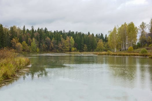 Pictured Reserve Abramtsevo, the bridge is in the reserve.