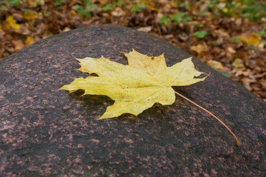 Pictured Reserve Abramtsevo, the stone is in the reserve.