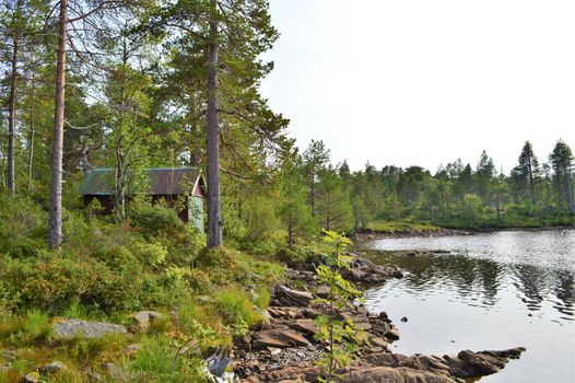 Beautiful countryside from Norway's west coast, close to the town of molde.