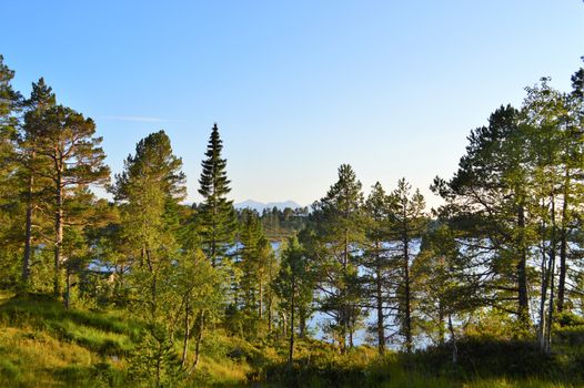 Beautiful countryside from Norway's west coast, close to the town of Molde.