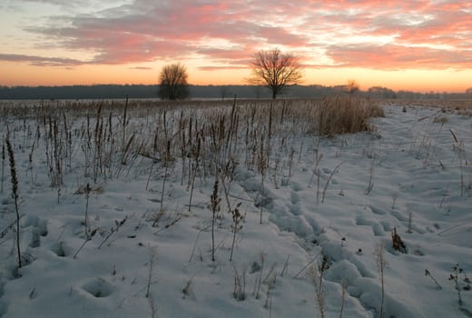 Poland.Grudzień.Snow-covered meadows near the Narew river.Horizontal view.