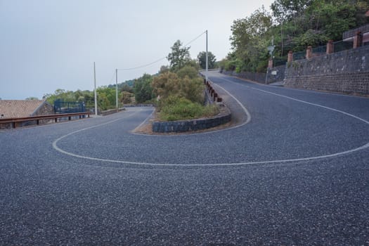 The curve road on a mountain with trees