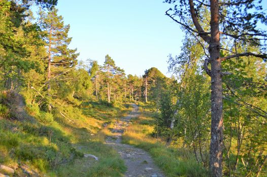 An image of a hiking trail on Norway's west coast.