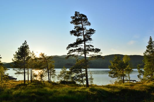 Beautiful Countryside from Norway's west coast.