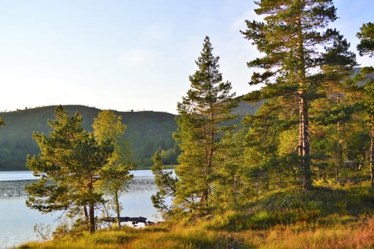 Beautiful countryside from Norway's west coast.