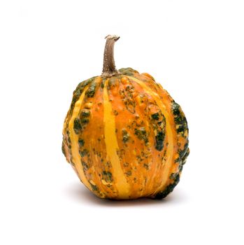yellow Pumpkin on white isolated background