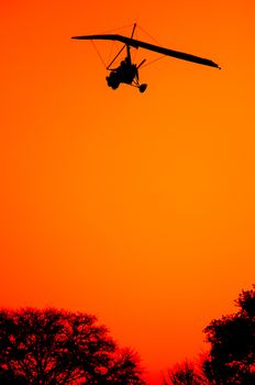 An ultralite aircraft comes in for a landing as the sun is setting, revealing only a black sihoutte of the aircraft and the tips of the trees against a red orange sky.