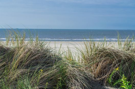 Landscape with beach overlooking the sea, sand dunes and grass, Ouddorp, North Sea, Holland.