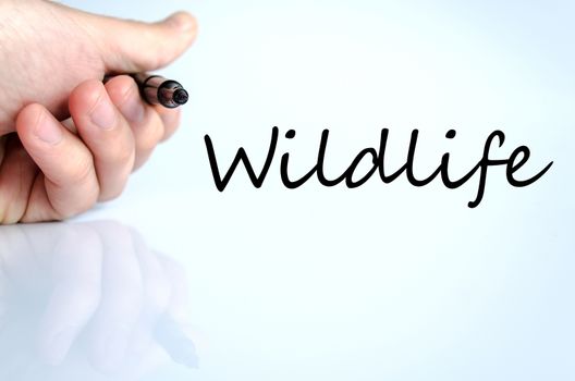 Wildlife text concept isolated over white background