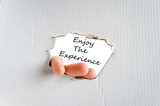 Enjoy the experience text concept isolated over white background