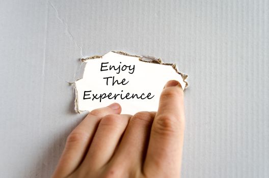 Enjoy the experience text concept isolated over white background