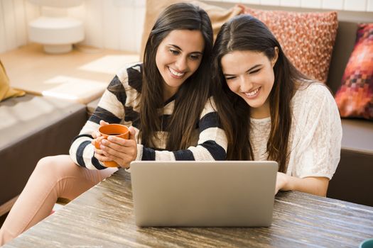 Female friends studying at the local coffee shop