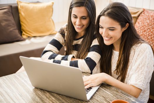 Female friends studying at the local coffee shop