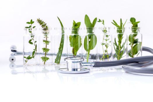 Bottle of essential oil with herb holy basil leaf, rosemary,oregano, sage,basil and mint with stethoscope on white background.