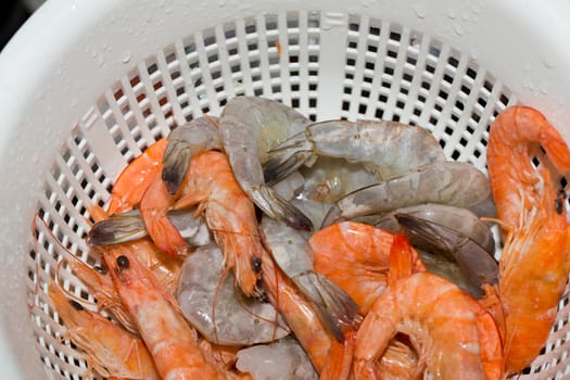 Fresh raw Shrimps 