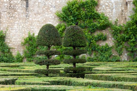 Splendid, decorative gardens at castles in France