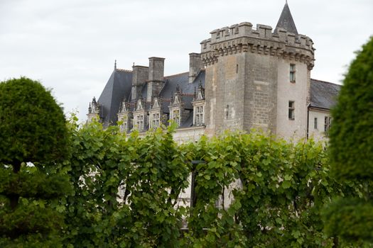 Gardens and Chateau de Villandry  in  Loire Valley in France 