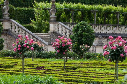 Kitchen garden in  Chateau de Villandry. Loire Valley, France 