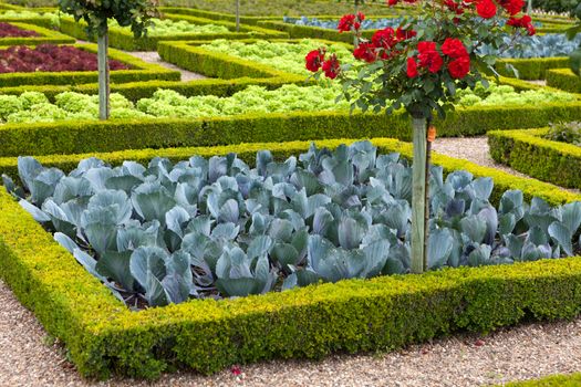 Kitchen garden in  Chateau de Villandry. Loire Valley, France 