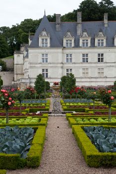 Kitchen garden in  Chateau de Villandry. Loire Valley, France 