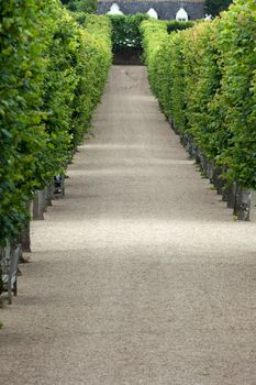 Splendid, decorative gardens at castles in France