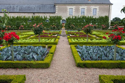 Kitchen garden in  Chateau de Villandry. Loire Valley, France 