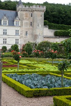 Kitchen garden in  Chateau de Villandry. Loire Valley, France 