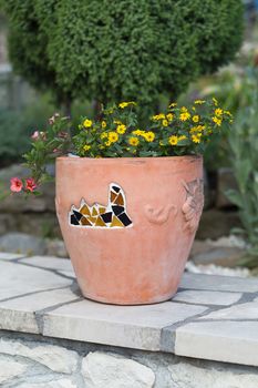 Yellow and pink flowers in the ceramic flowerpot