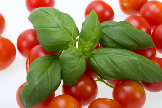  fresh cherry tomatoes with basil, on white background
